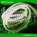 220V SMD3014 Double Row LED strip light -- White